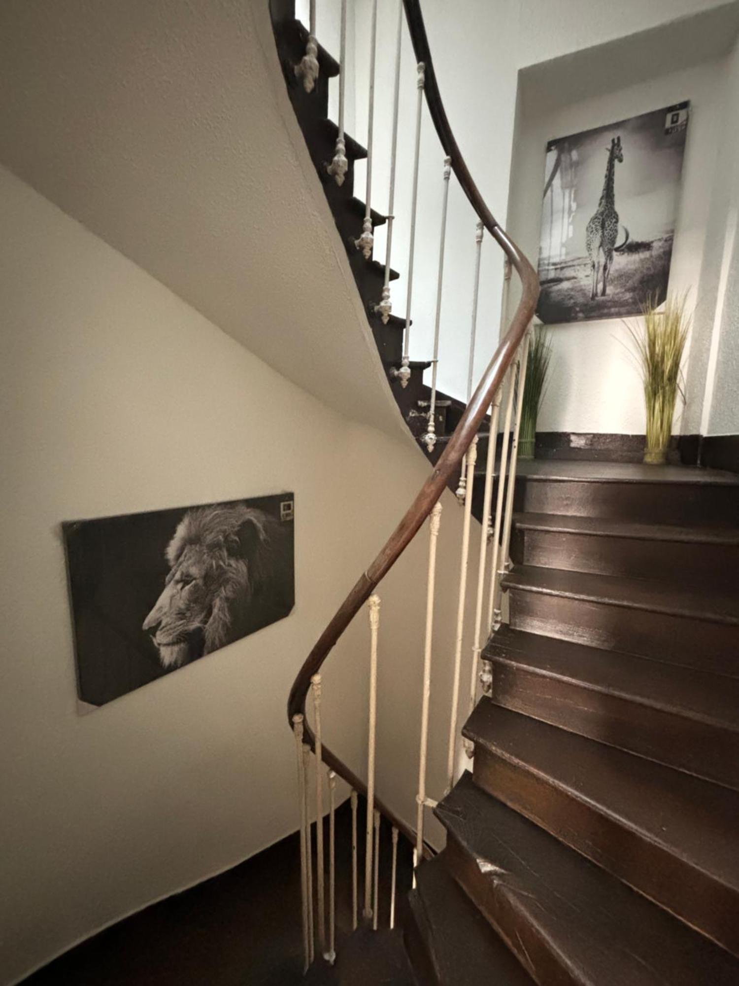 Le Duplex Safari Apartman Saint-Aignan  Kültér fotó