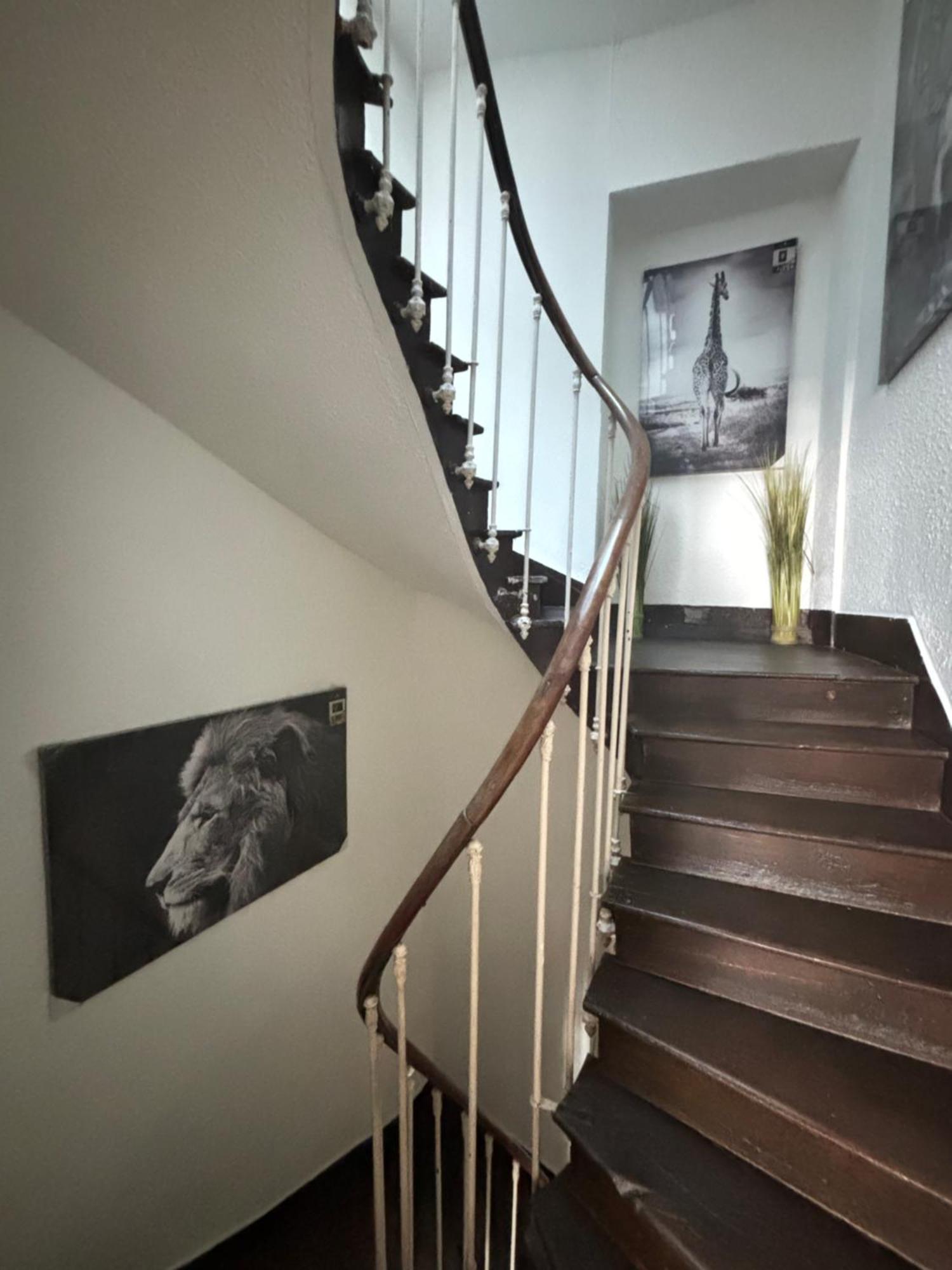 Le Duplex Safari Apartman Saint-Aignan  Kültér fotó